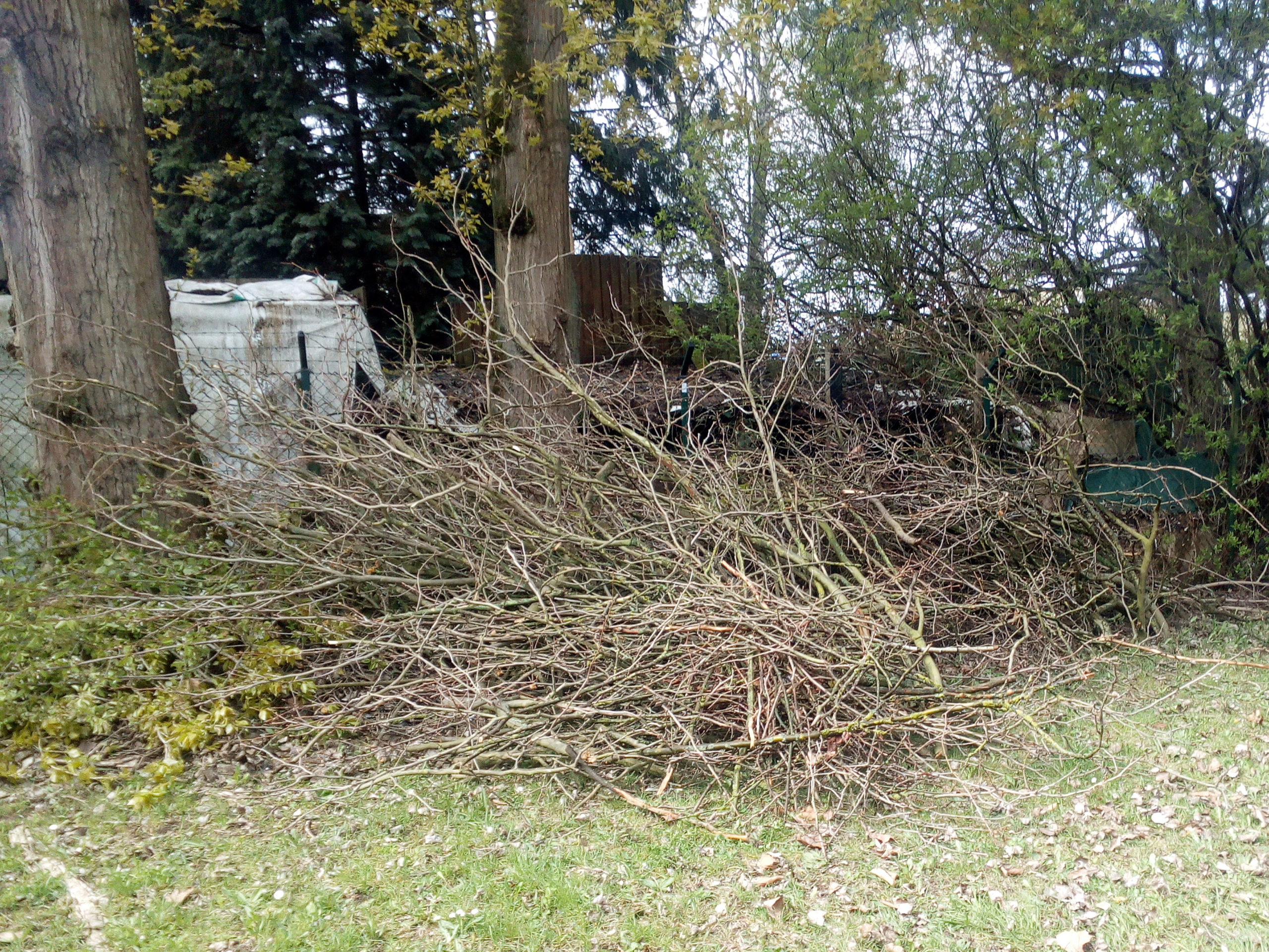 Gartenarbeit in der Homburger Landstaße