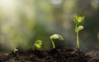 Rollenfindung und -stärkung durch Umwelt und Natur