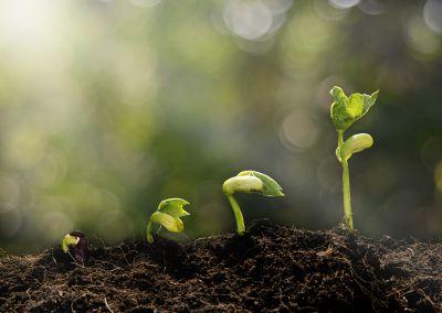 Rollenfindung und -stärkung durch Umwelt und Natur